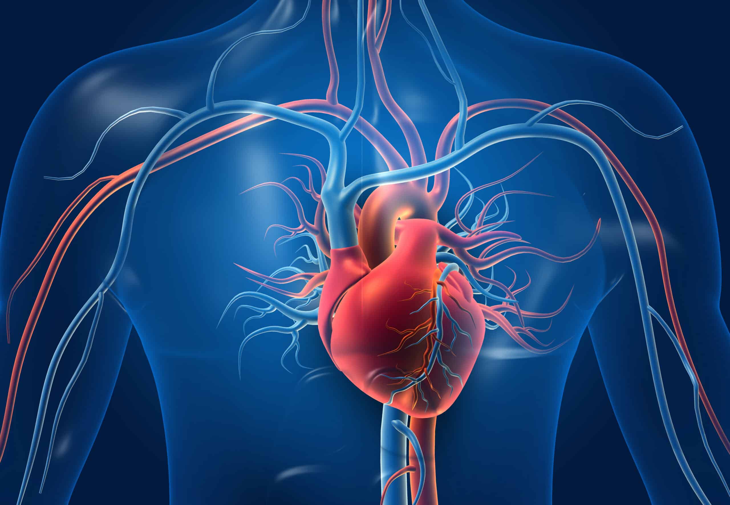 CT Flexes Muscles in Heart